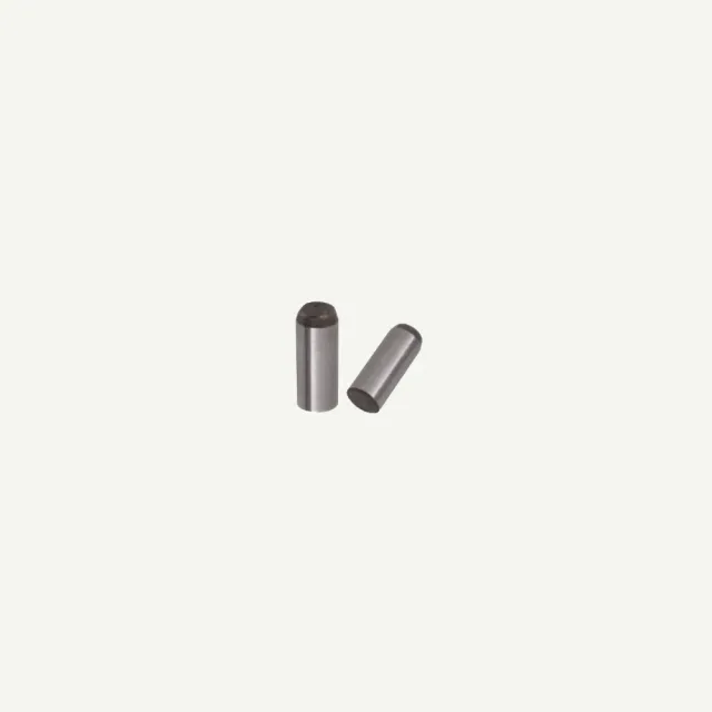 Bearpaw pin cilindric accesorii arc 1 buc