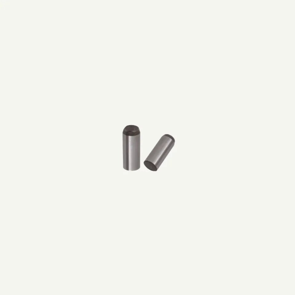 Bearpaw pin cilindric accesorii arc 1 buc