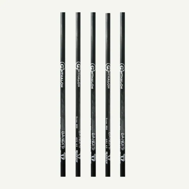 Bearpaw Penthalon Bandit tub carbon săgeată Spine 500 32 inch