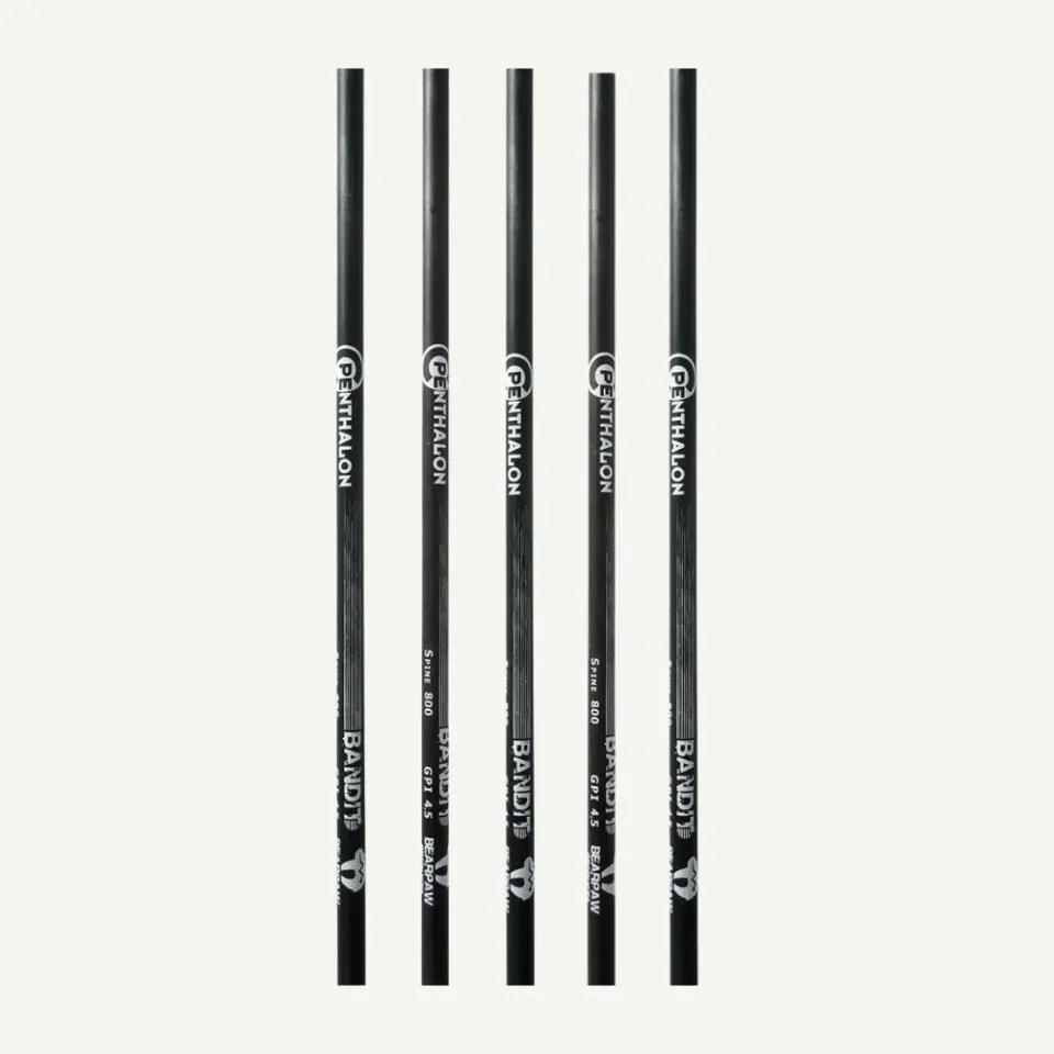 Bearpaw Penthalon Bandit tub carbon săgeată Spine 500 32 inch