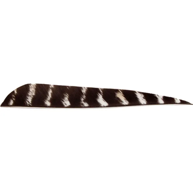 Bearpaw Parabol pana naturala 3 inch barred