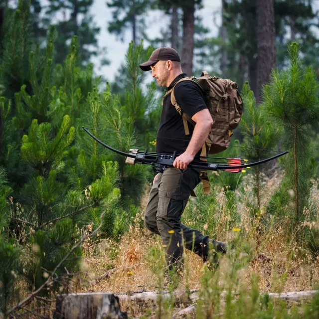 SAS Scout Takedown Survival Bow arc takedown 50#