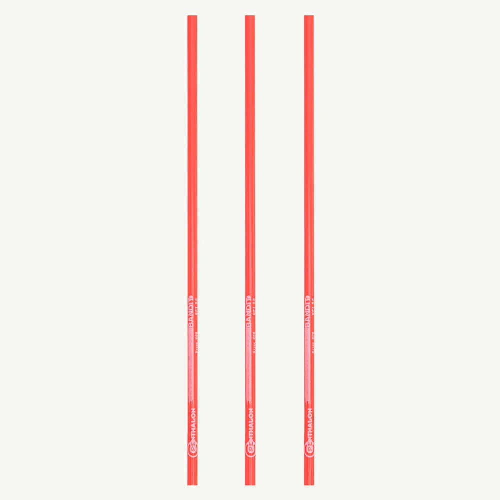 Penthalon Bandit Neon tub carbon 32 inch spine 800