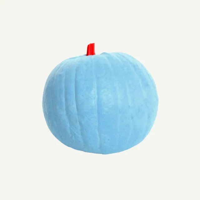 Bear Paw IBB Indigo Pumpkin tinta 3D dovleac