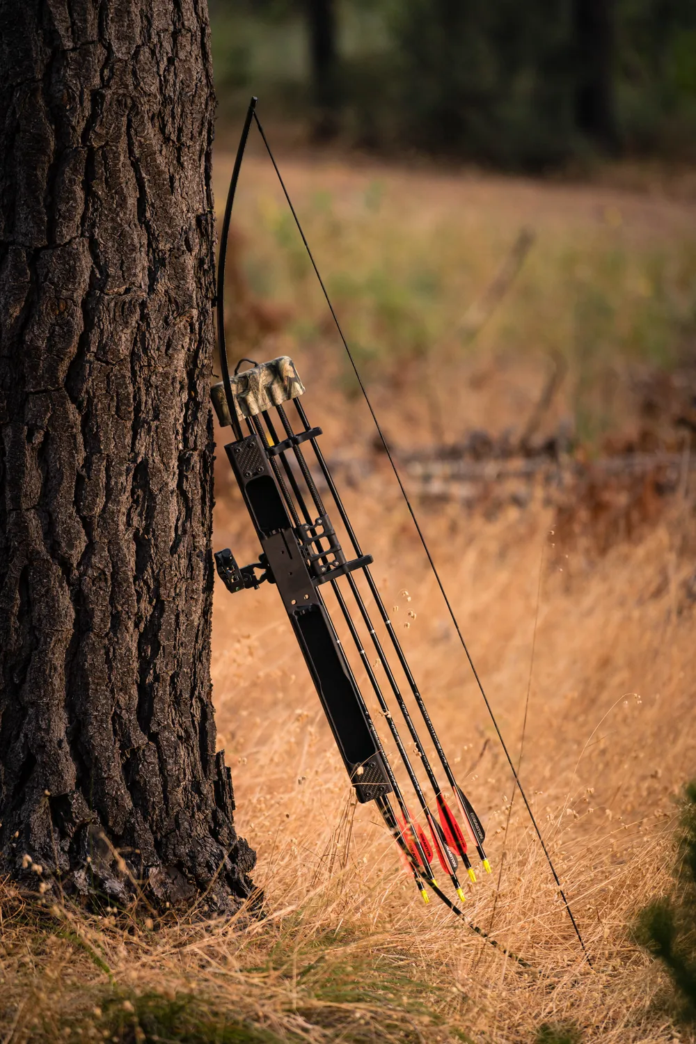 SAS Ranger arc takedown 50 lbs set 3 sageti broadhead