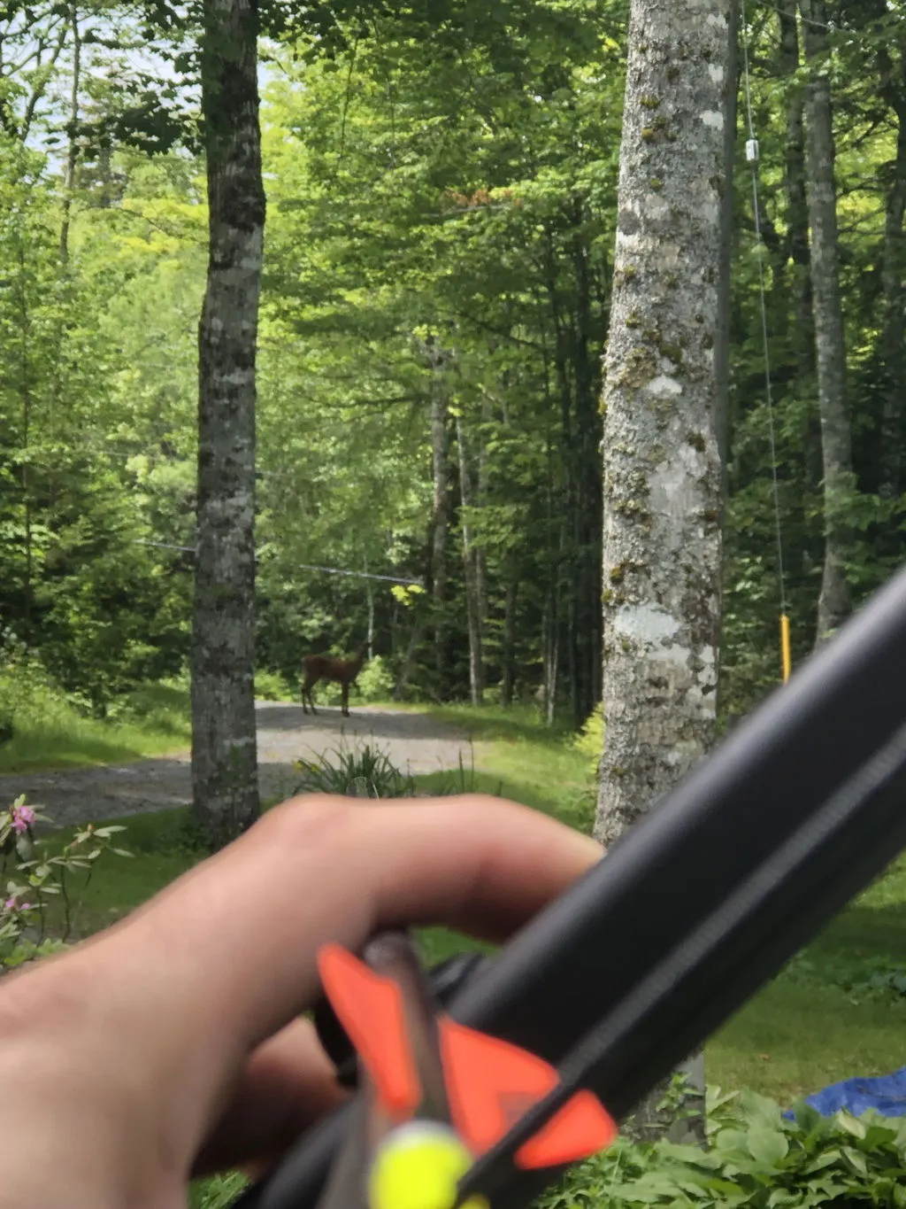 SAS Tactical Compact Modern Longbow arc pliabil 55# dreptaci