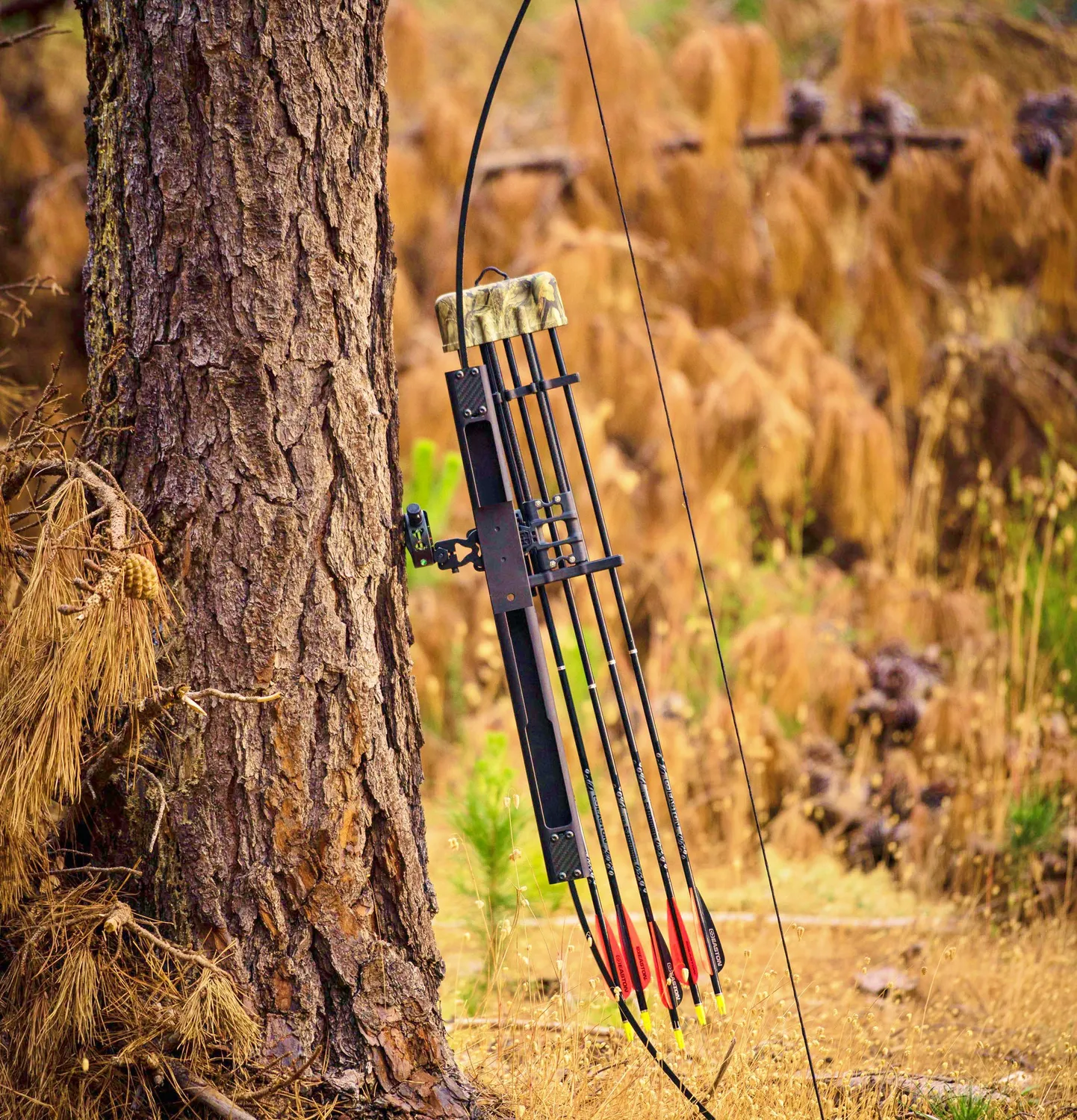 SAS Scout Pro X arc takedown 50# super-compact