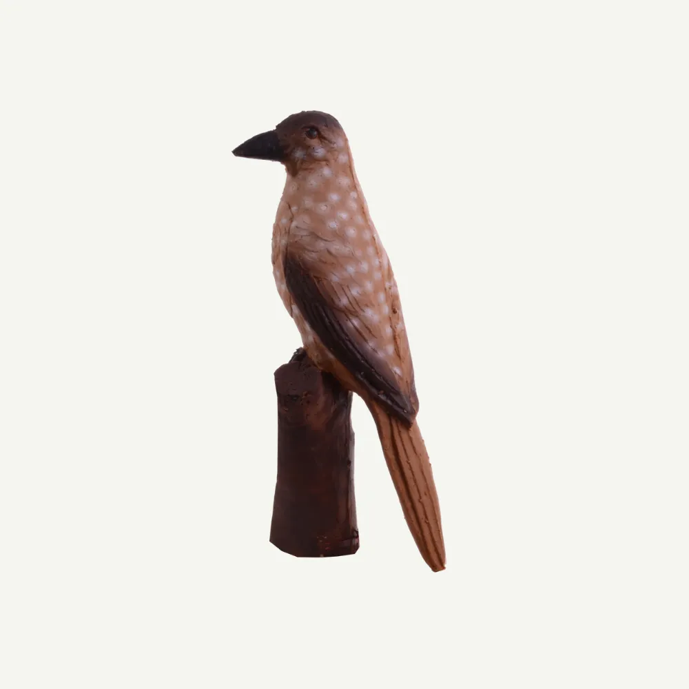 Bear Paw IBB Nutcracker tinta 3D 40 cm grupa IFAA 4