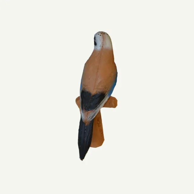Bear Paw IBB Jay tinta 3D 22x40 cm grupa IFAA 4