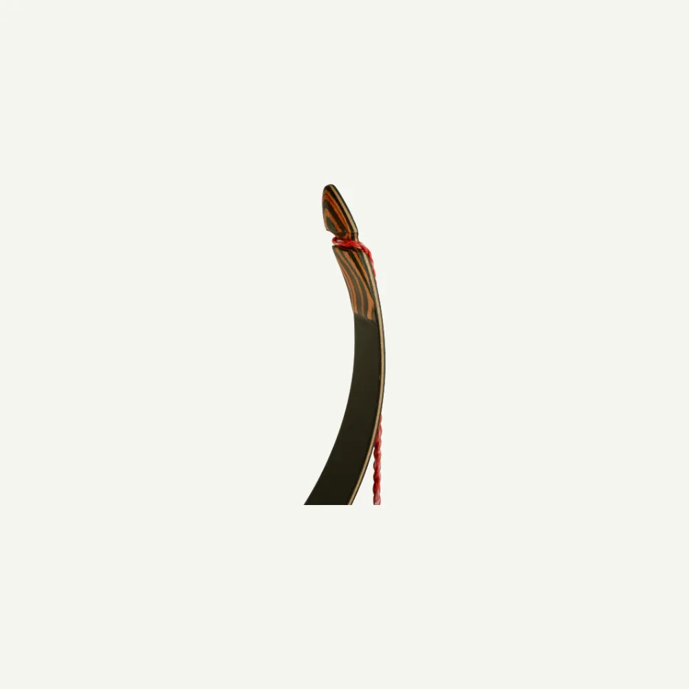Bear Paw Penthalon Little Mingo închiriere arc copii RH recurve