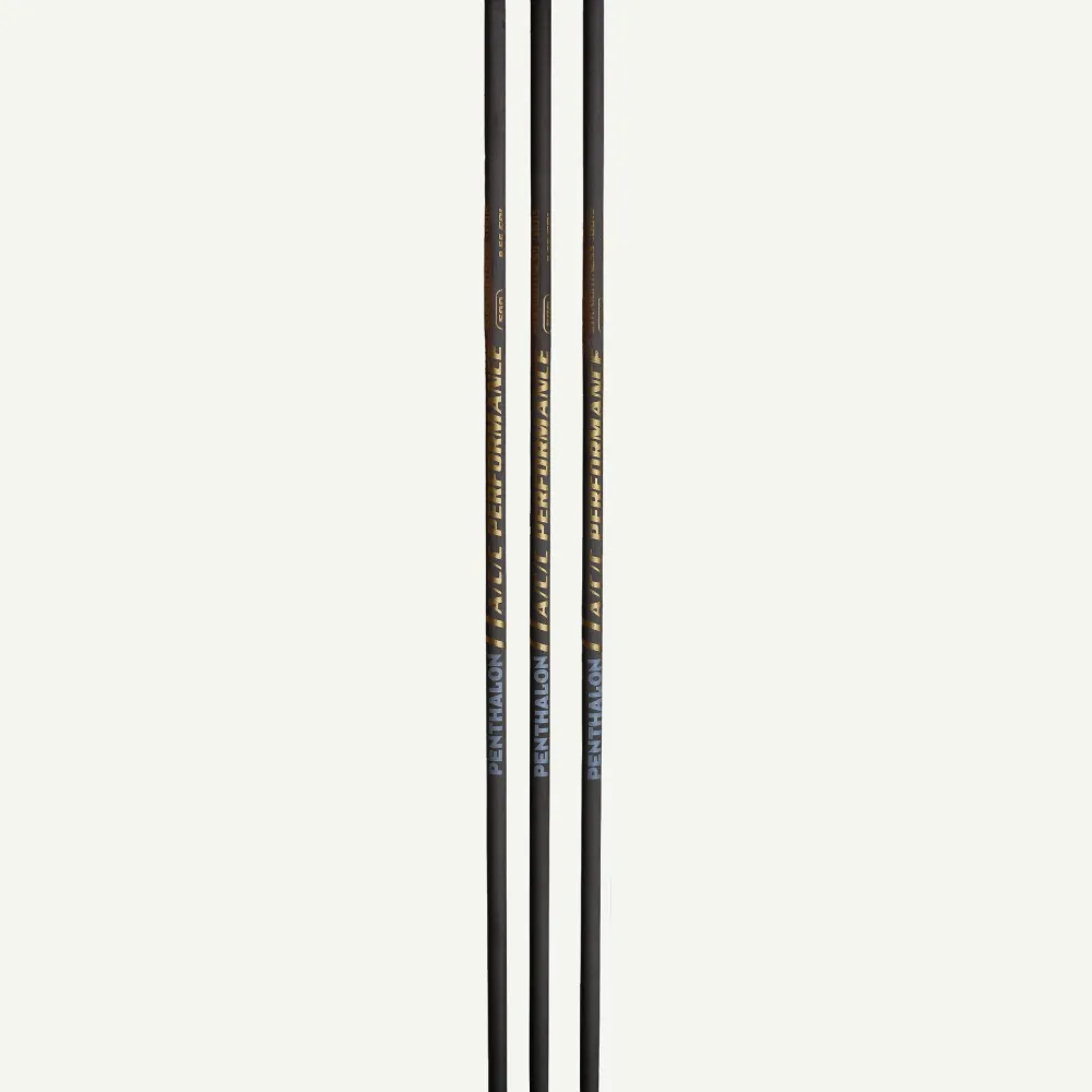 Penthalon Performance ACC tub sageata carbon 12buc spine