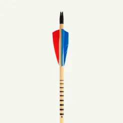 Bear Paw Penthalon Pfeilcresting Clear folie săgeți 9 cm