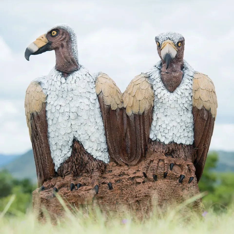 Bear Paw Wildcrete Vulture Pair tinta 3D