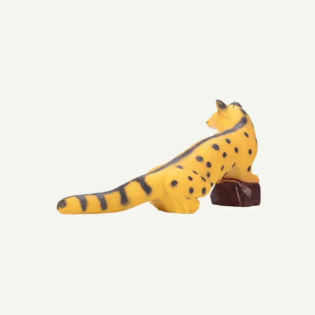 Bearpaw Walking Genet tinta 3D spuma premium
