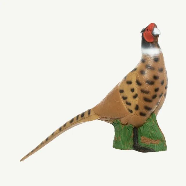 Bear Paw IBB fazan nobil tinta 3D 66 cm grupa 4