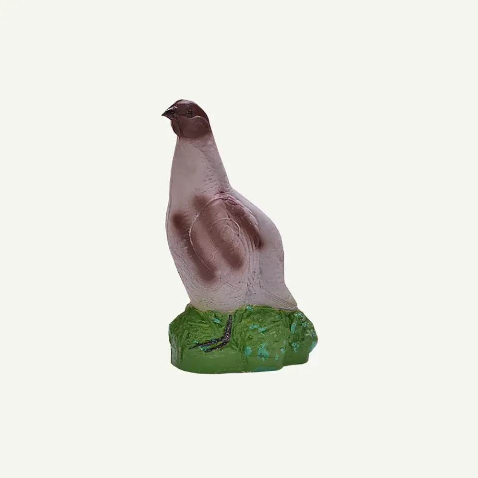 IBB 3D Partridge Male tinta arc 3D grupa IFAA 4