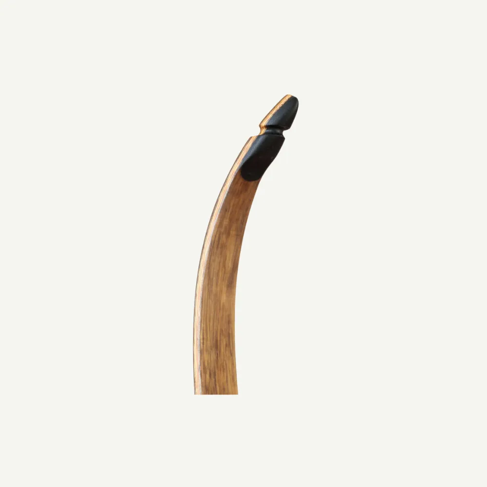Bear Paw Bodnik Eagle arc recurve 25 lbs ambidextru