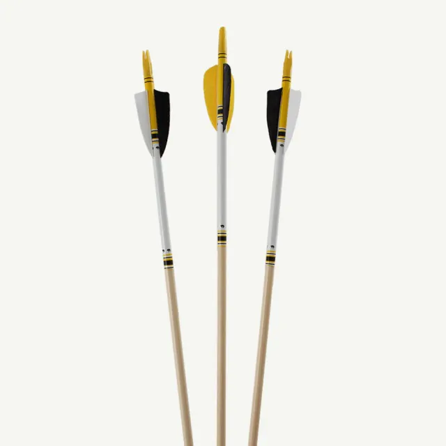 Bearpaw Youth Pro 27 săgeată copii lemn până 30 lbs