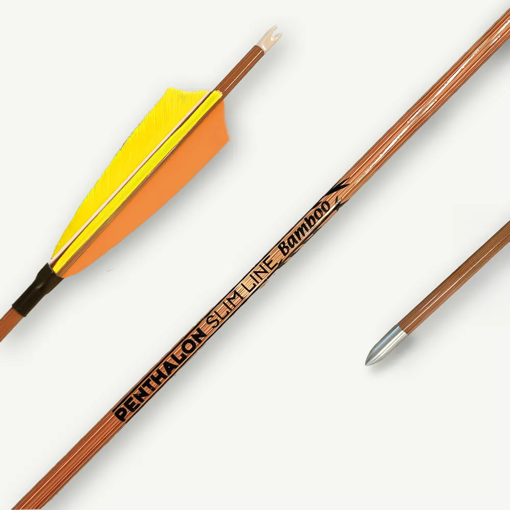 Penthalon Slim Line Bamboo sageti carbon pene naturale 600