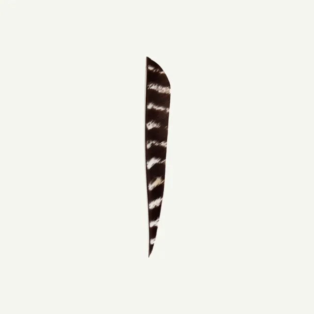 Bearpaw Feather RW Parabol 5 inch pene arc natural barred