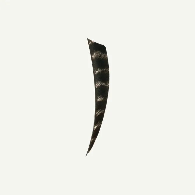 Bear Paw Shield 4 inch pene naturale barred