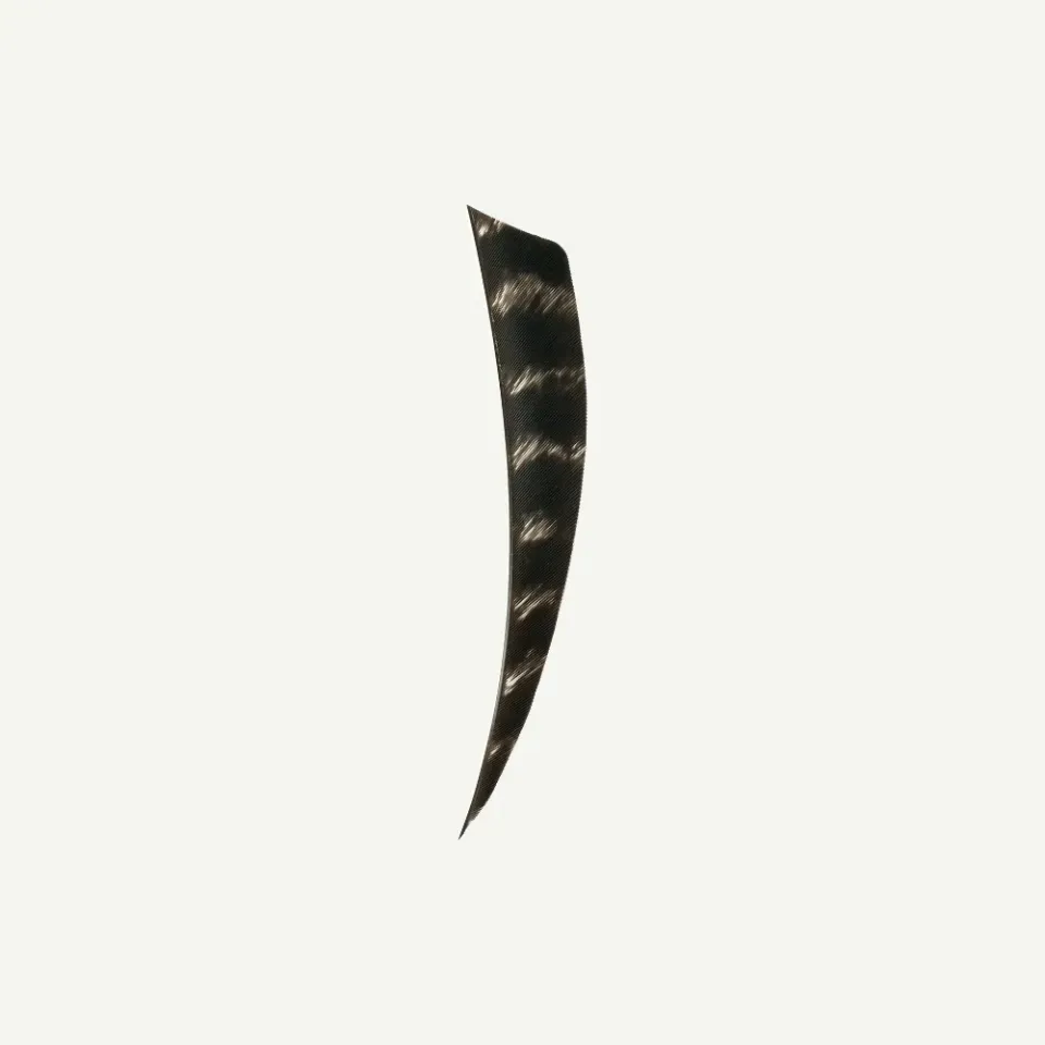 Bear Paw Shield 4 inch pene naturale barred