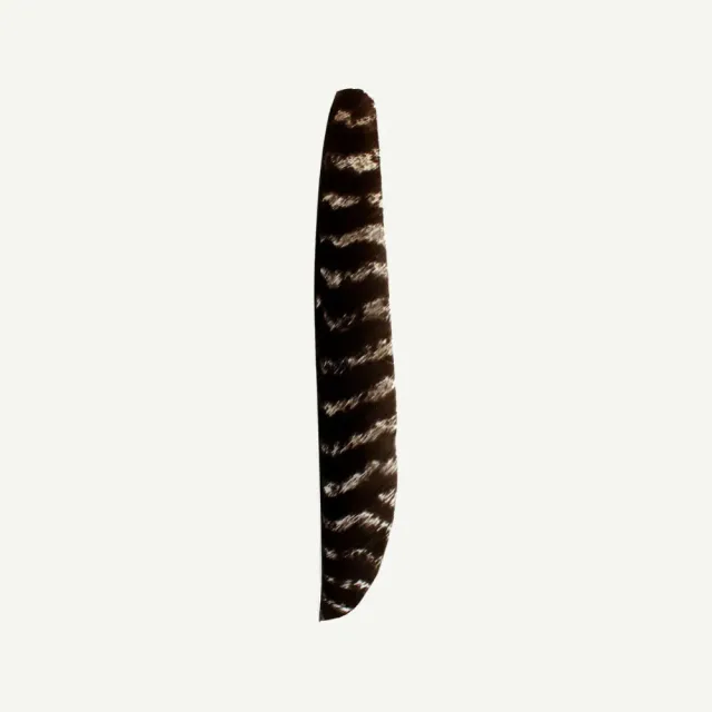 Bearpaw pene naturale curcan full length barred