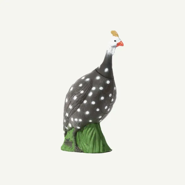 IBB Guinea Fowl țintă 3D bibilică 62 cm grupa 3