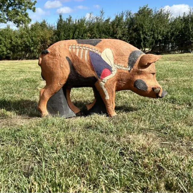 Wildcrete Feral Boar tinta 3D mistret cu zone vitale