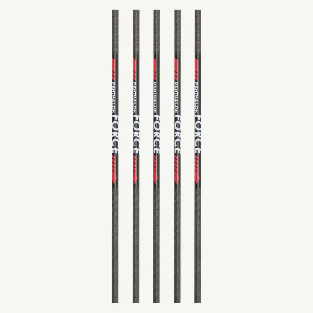 Bearpaw Penthalon Force shaft carbon arc spine 500