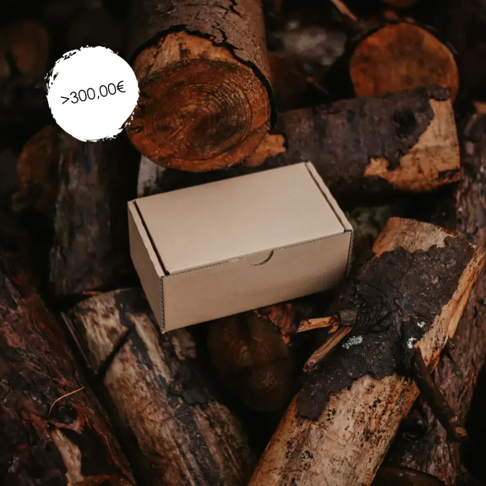 Bear Paw Big Surprise Box cadou tir cu arcul 300€