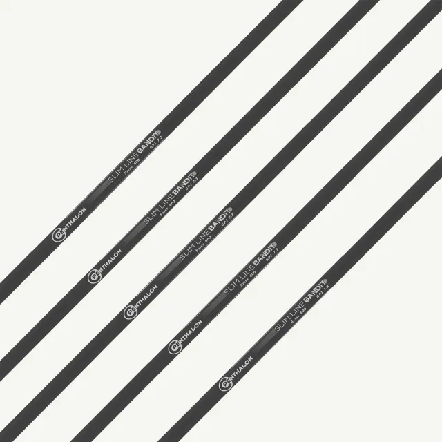 Bearpaw Bandit Slim Line tijă carbon 32 inch spine 600-1600