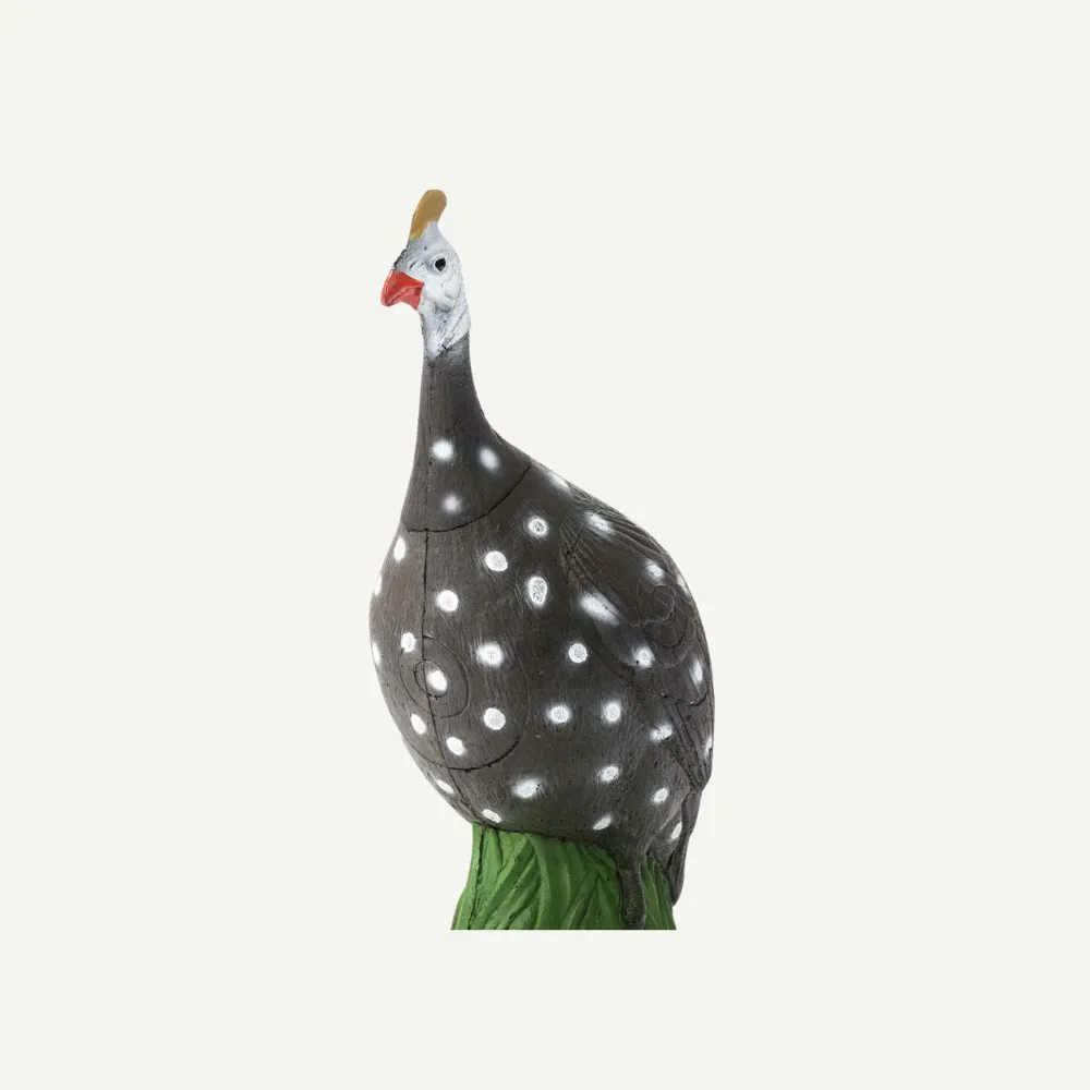 IBB Guinea Fowl țintă 3D bibilică 62 cm grupa 3