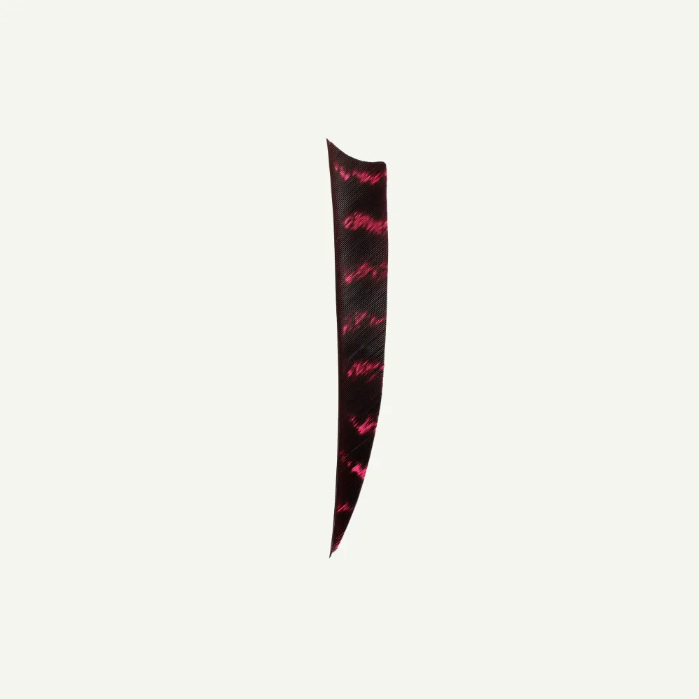 Bear Paw Shield 4 inch pene naturale barred