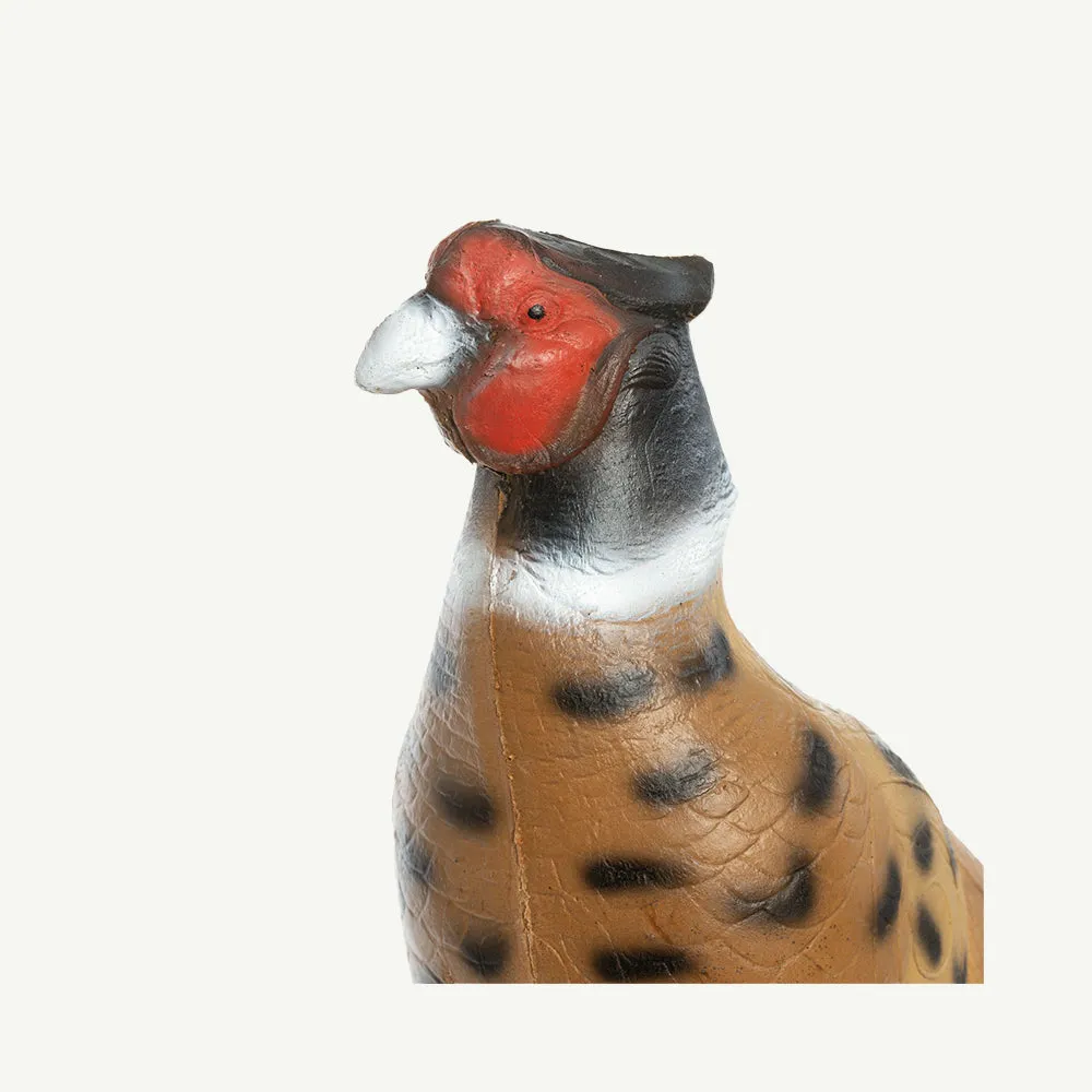 Bear Paw IBB fazan nobil tinta 3D 66 cm grupa 4