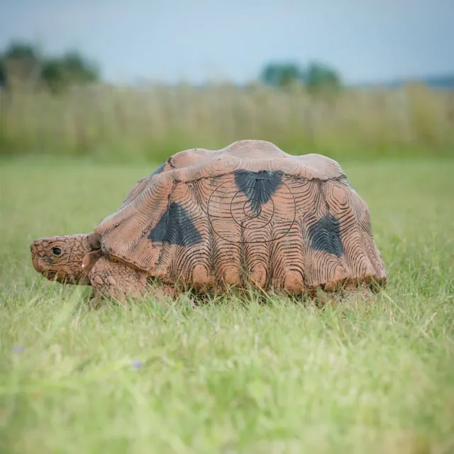 Bear Paw Wildcrete Tortoise tinta 3D broasca 56 cm