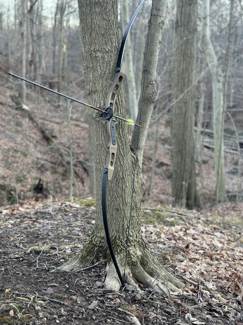 SAS Atmos Compact Takedown Longbow arc 45# bronz