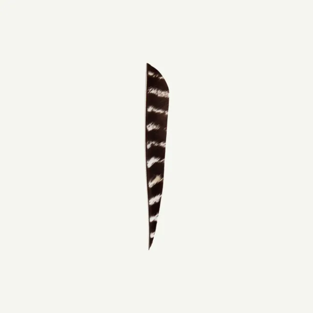 Bearpaw pene naturale parabolice 4" curcan barate