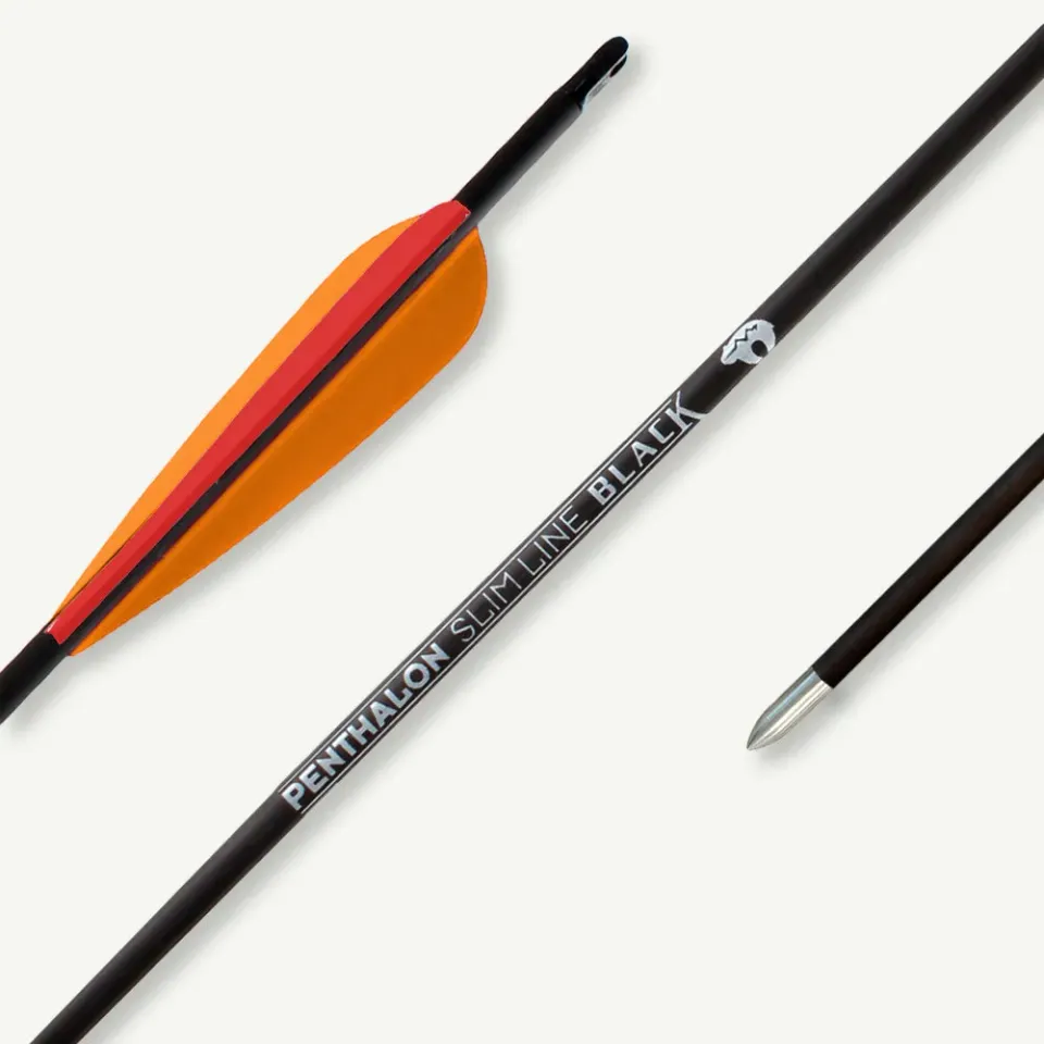 Bear Paw Penthalon Slim Line sageata carbon Spine 800