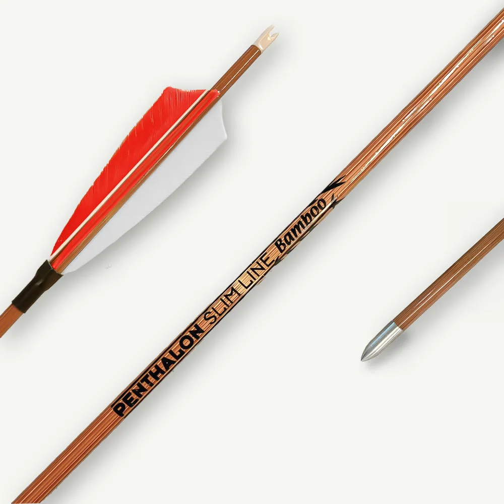 Penthalon Slim Line Bamboo sageti carbon pene naturale 600