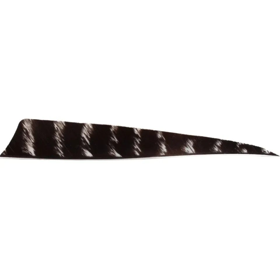 Bearpaw RW Shield 5 inch pană săgeată dungată
