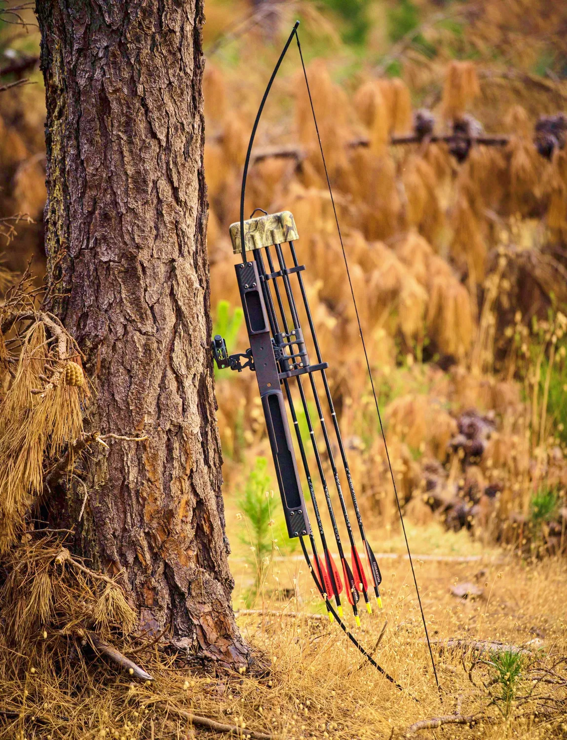 SAS Scout Takedown Survival Bow arc takedown 50#