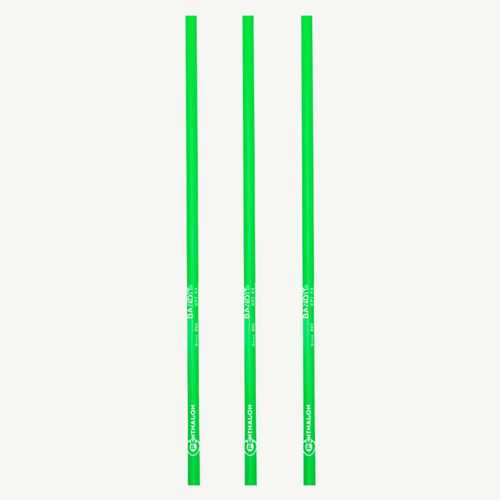 Penthalon Bandit Neon tub carbon 32 inch spine 800