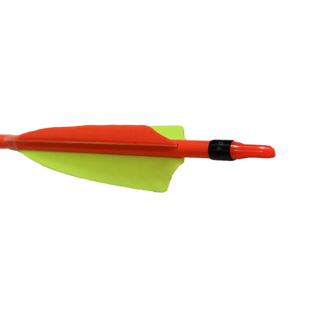 SHOCQ Pavo 6.2 săgeată arc pene 4 inch target