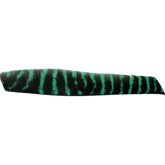 Bear Paw Full Length pana naturala verde barat
