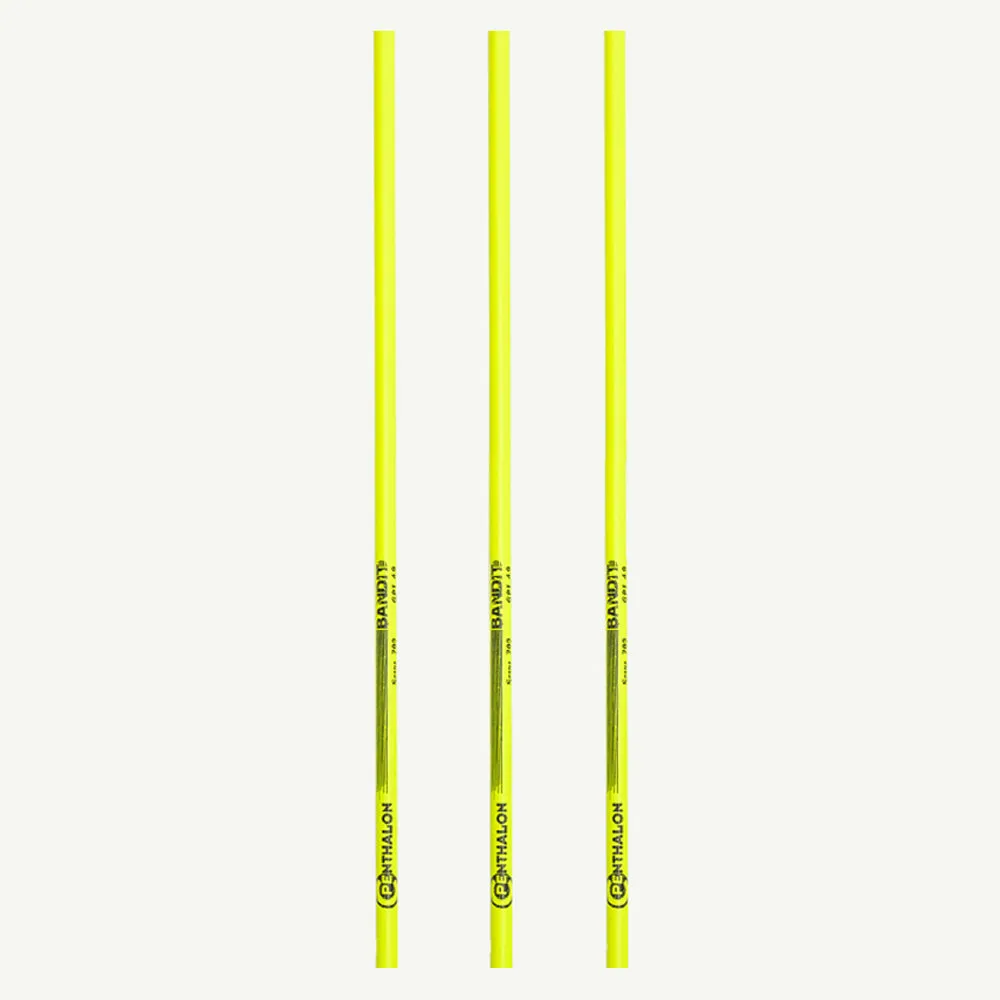 Penthalon Bandit Neon tub carbon 32 inch spine 800