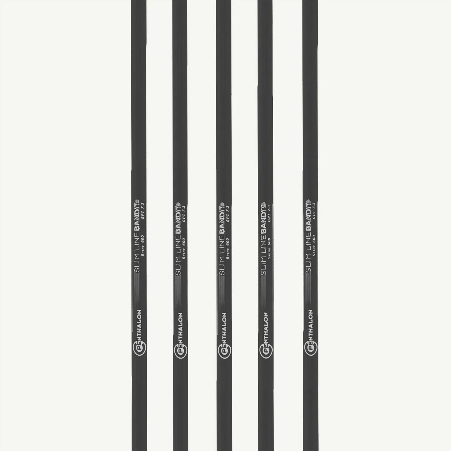 Bearpaw Bandit Slim Line tijă carbon 32 inch spine 600-1600