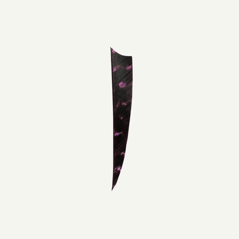 Bear Paw Shield 4 inch pene naturale barred